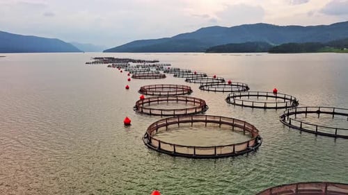 Fishing Cages for Breeding Fish in Lake in Mountain Valley of Rhodope Mountains Under Cloudy Sky