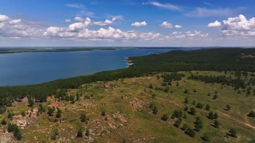 Lake And Pine Forests From A Bird’s Eye View