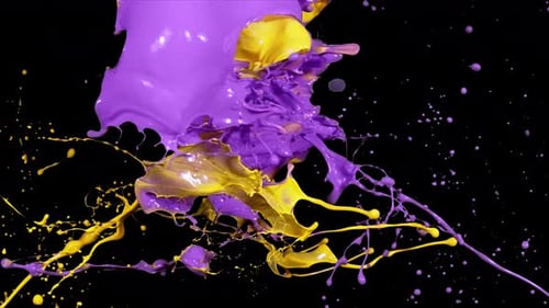 Dynamic Yellow and Purple Paint Splash Fluid Animation
