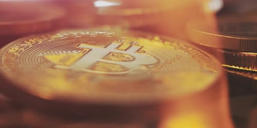 Macro View of Bitcoin Coins