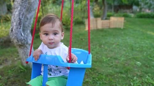 Cute Baby Enjoying a Swing in Backyard