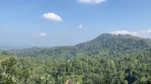 natural mountain forest