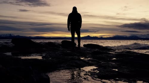 Back View Of A Man Raising His Arms While On A Lakeshore During Sunrise