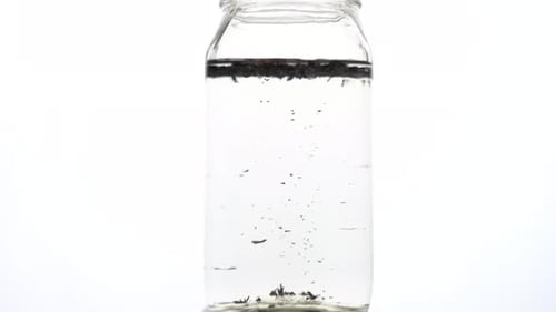 clear water throughing green tea leavs in water slow motion timelaps.