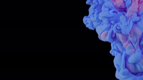 Lebendige Farbe: Rote und blaue Farbtropfen im Wasser bilden eine abstrakte Mischung auf Schwarz