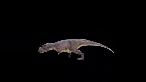 Ceratosaurus Dinosaur Run Loop