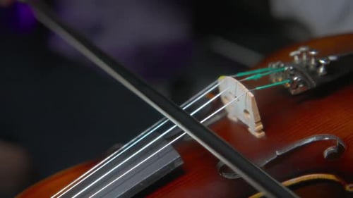 Close up of Violin Bow Playing Strings