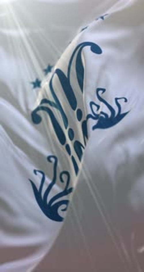 Marist Brothers Flag