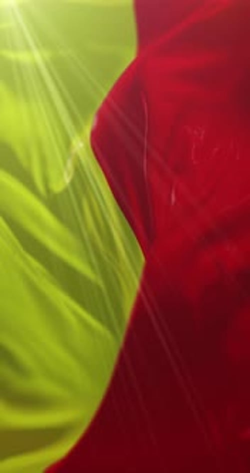 Orleans Flag