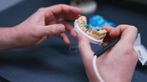 Dental technician holding an artificial denture. Orthodontist making teeth sample. Close up.