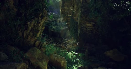 Explore Lush Green Forest with Sunlight Filtering Through Rocky Archway
