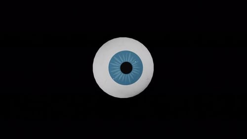 3D Animated Human Eye Looking and Blinking Loop