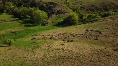 Aerial Video of Man Walking in Picturesque Valley on Green Grass Towards a River Drone Tracking Shot