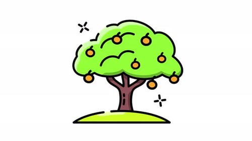 Animated Flat Design Orange Tree with Fruits