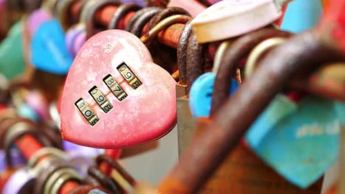 Love Locks Attached to Bridge, Pink Lock in Focus