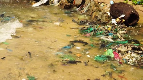 Wasserverschmutzung, verschmutzte Meeresküste mit schwimmendem Plastikmüll, Mikroplastik und Müll hautnah
