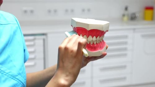 Dental Hygienist Demonstrating Proper Brushing Technique