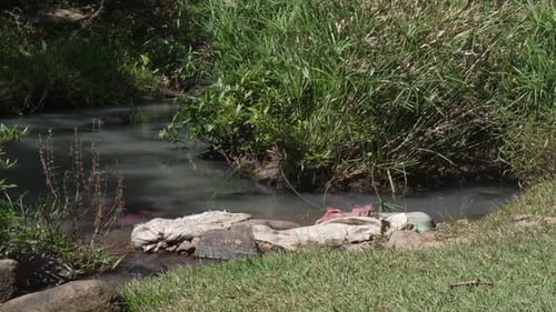 Waste white plastic sacks discarded in the water flow of a small stream