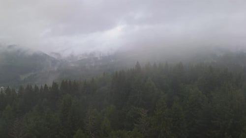 Aerial View of Mountains with Coniferous Forest and Rolling Clouds and Thick Fog