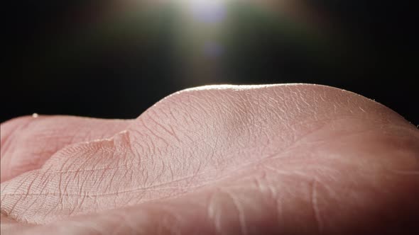 Closeup of Man Hand Skin Texture Macro Detailed Human Skin Lines on ...