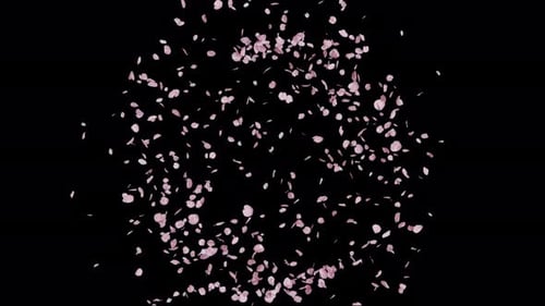 Alpha Channel During Cherry Blossom Seasonal 04 4K