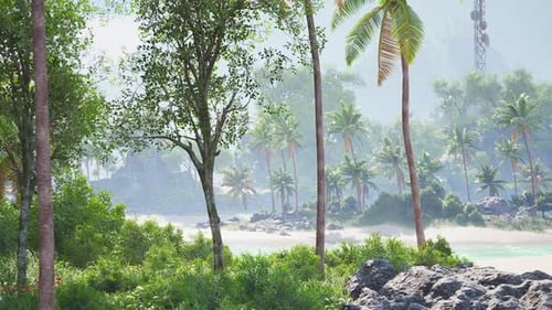 Tropical Island Beach with Palm Trees and Lush Greenery