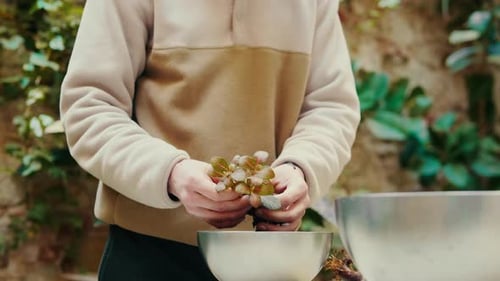 Repotting a home plant into new pot, home gardening