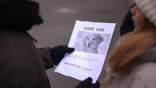 Adults Review Lost Dog Flyer Outdoors