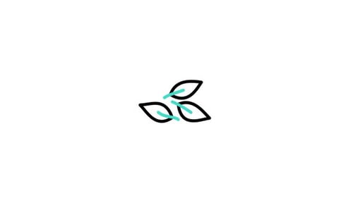 Minimalist Spinning Leaves Icon Animation
