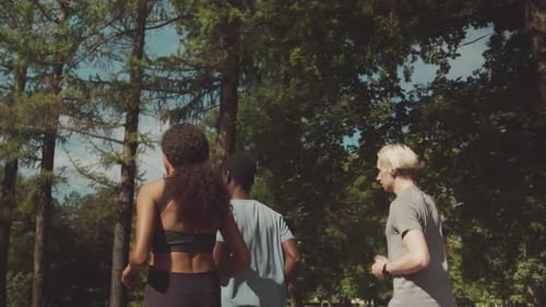 Multiethnic Athletes Jogging Together in Park Back View