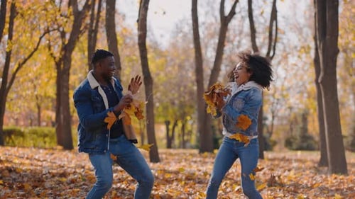 AfricanAmerican Woman Throws Fallen Leaves at Black Man