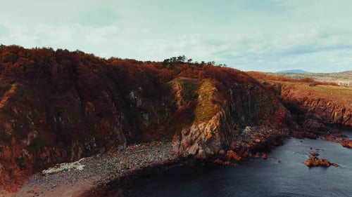 Vegetation with orange foliage covering the rocks at the sea shore.