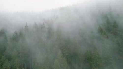 Aerial View of Beautiful Mountain Landscape Fog Rises Over the Mountain Slopes