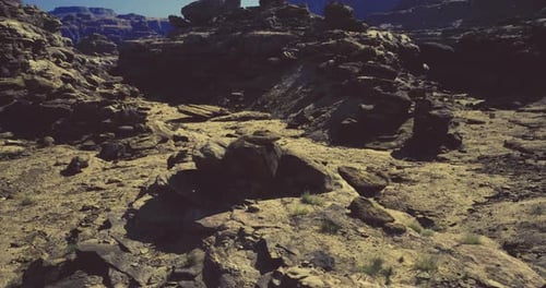 Unique Rock Formations in a Vast Desert Landscape Under Clear Blue Sky