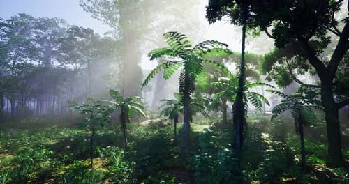 Exploring a Lush Vibrant Forest Filled with Tropical Greenery and Sunlight