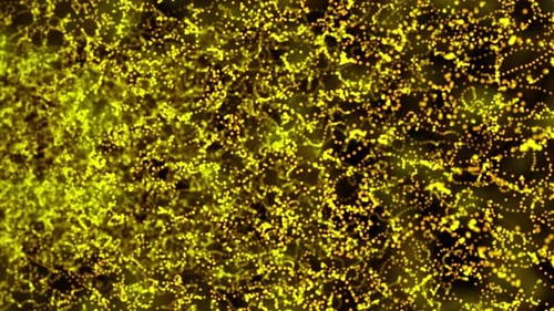 Flowing Abstract Golden Particle Network Background