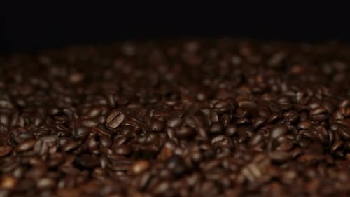 Coffee Beans, Coffee