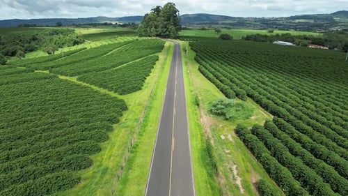 Country Road at Country Scene in Rural Landscape Countryside.