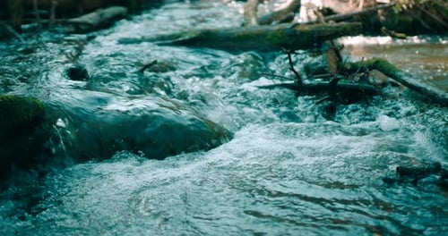 Wild Mountain River Close Up Abundant Clear Stream. Detail Static Shot.