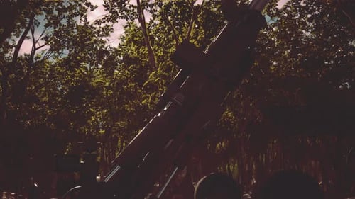 Big Gun Cannon in the Forest