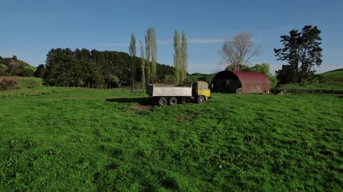 Farm truck used for hauling feed.