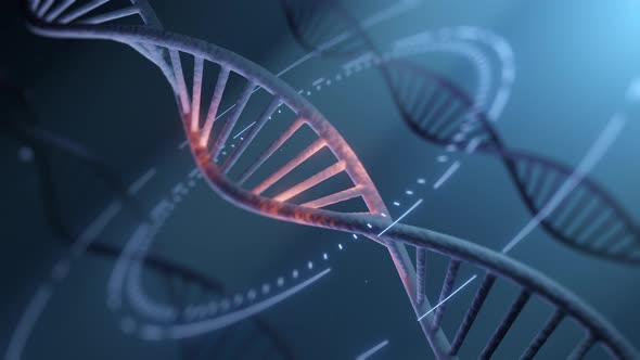 3D Animated DNA Double Helix Rotation with Digital Data, Backgrounds ...