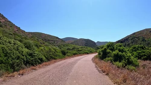 Driving through winding roads, flanked by sun kissed green pastures, POV