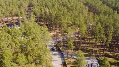 Car On Forest Road Through Pine Trees In Pardaugava, Riga, Latvia. aerial shot
