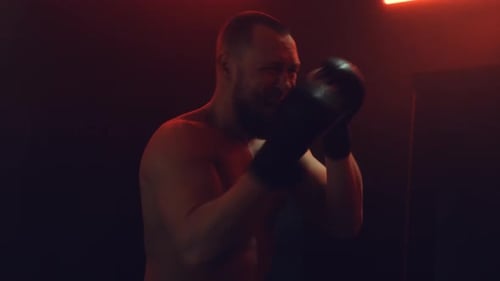 Fight Training