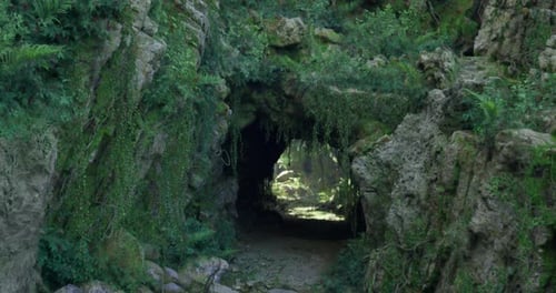 Natural Cave Entrance Surrounded By Lush Greenery in a Secluded Forest