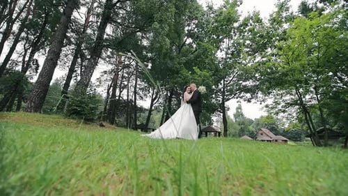 The Bride and Groom Embrace in the Park A Young Couple Enjoys a Hug in a Beautiful Park Wedding Day