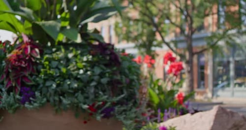 gimbal shot of flower pots in town square