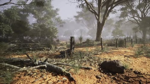 Australian Bushland Landscape with Misty Trees Animation