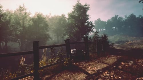 A Serene Wooded Area with a Rustic Fence